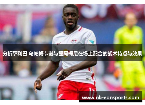分析萨利巴 乌帕梅卡诺与楚阿梅尼在场上配合的战术特点与效果