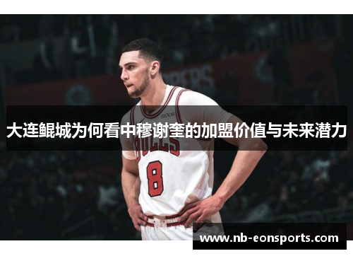 大连鲲城为何看中穆谢奎的加盟价值与未来潜力