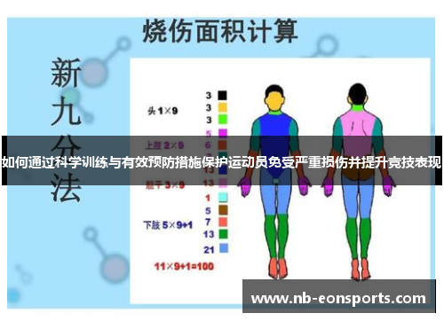 如何通过科学训练与有效预防措施保护运动员免受严重损伤并提升竞技表现