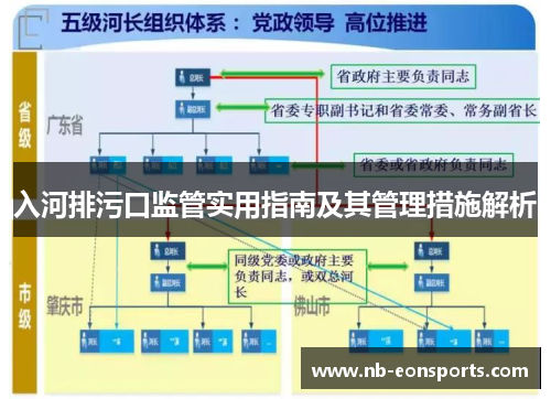 入河排污口监管实用指南及其管理措施解析