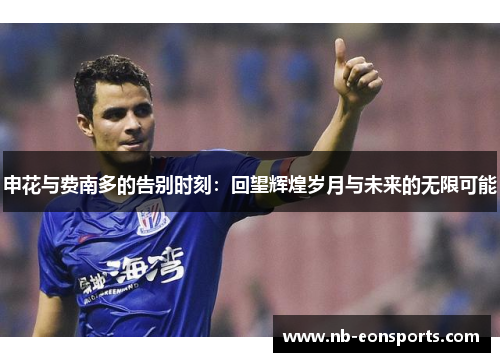 申花与费南多的告别时刻：回望辉煌岁月与未来的无限可能