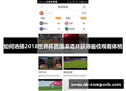 如何选择2018世界杯直播渠道并获得最佳观看体验
