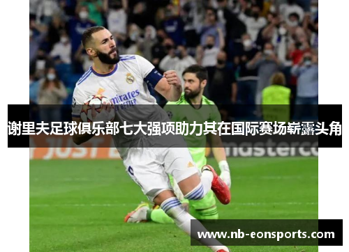 谢里夫足球俱乐部七大强项助力其在国际赛场崭露头角 谢里夫足球俱乐部七大强项助力其在国际赛场崭露头角