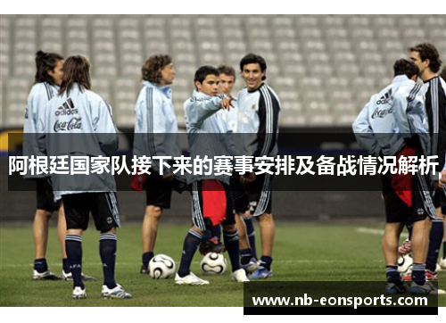 阿根廷国家队接下来的赛事安排及备战情况解析