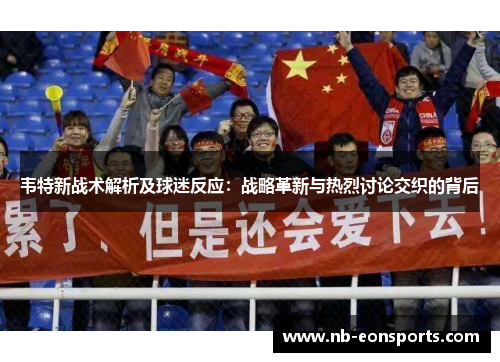 韦特新战术解析及球迷反应：战略革新与热烈讨论交织的背后
