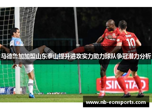 马德鲁加加盟山东泰山提升进攻实力助力球队争冠潜力分析